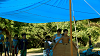camp28 (615)_thumb.png